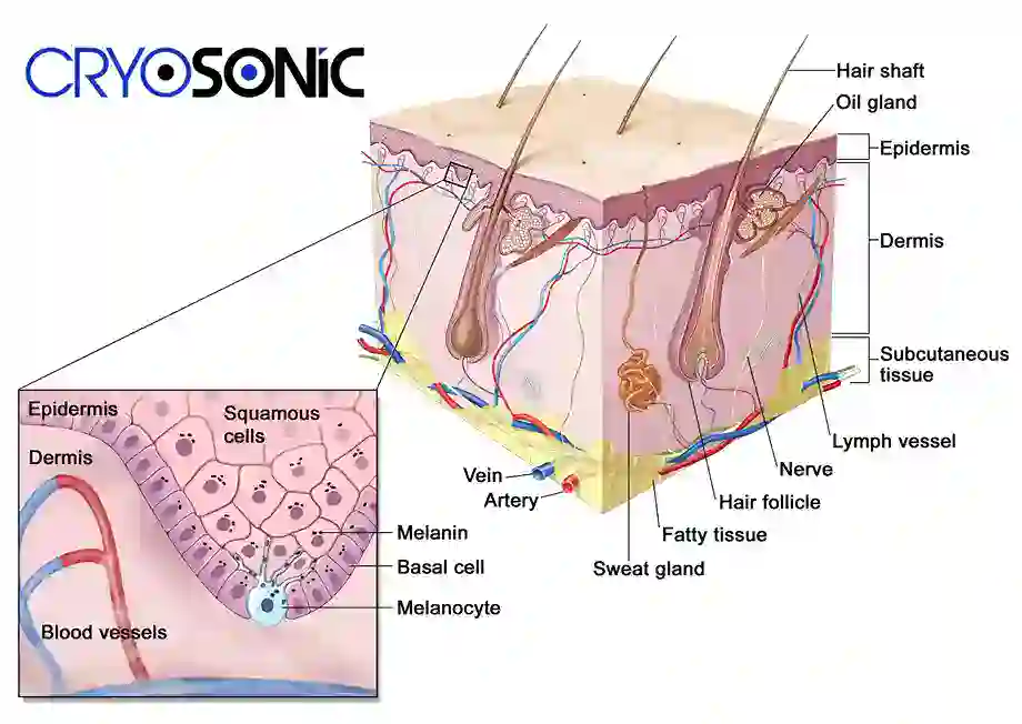 How Cryotherapy Stimulates Melanocyte Activity Swindon